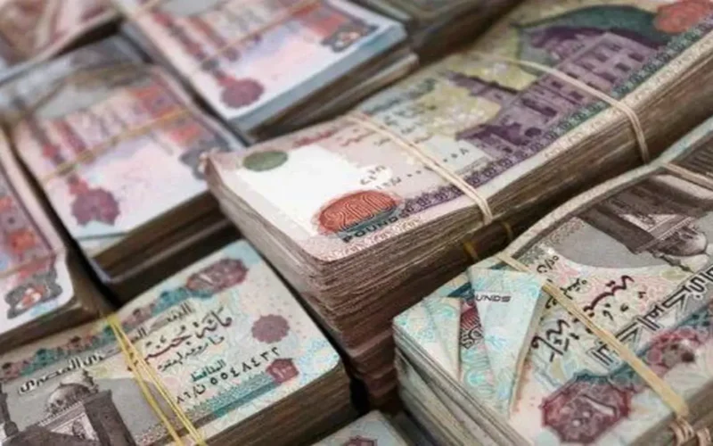 موعد صرف معاشات ديسمبر 2025 وتفاصيل قيم الشرائح وكيفية الاستعلام خطوة بخطوة